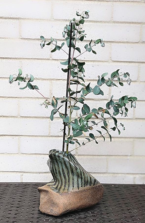 Raku and Living Eucalyptus by Mario MJ Perron Raku and Living Eucalyptus by Mario MJ Perron