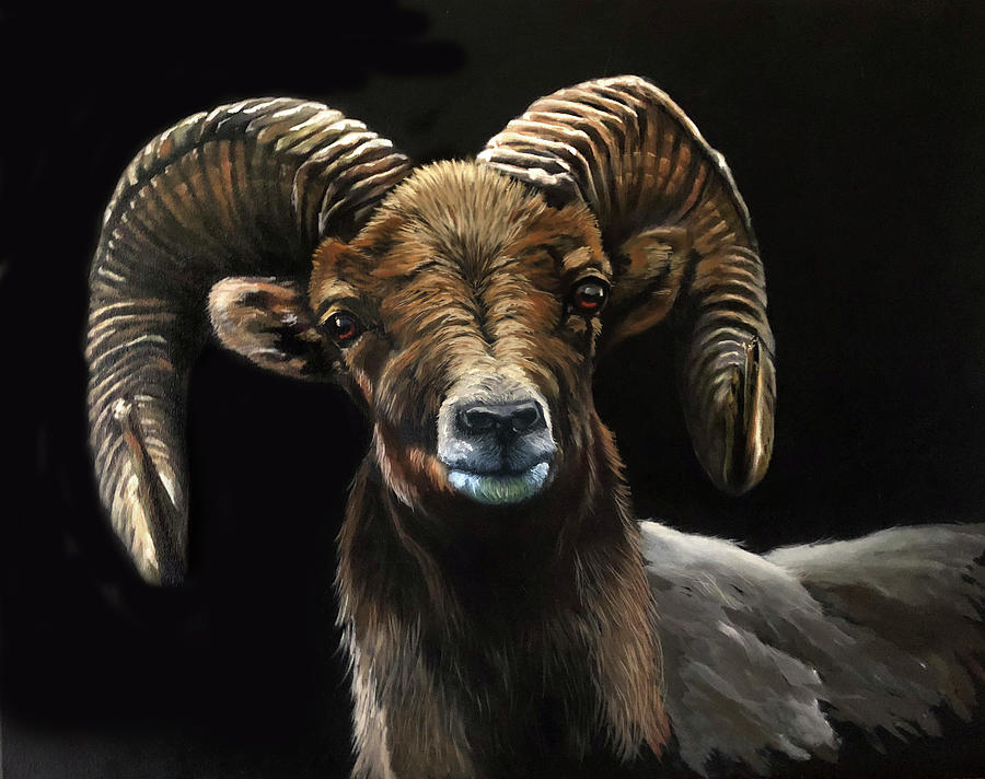Animal Painting - Ram by Eileen Herb-witte