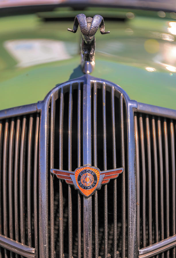 Ram Hood Ornament Photograph by Dan Sproul