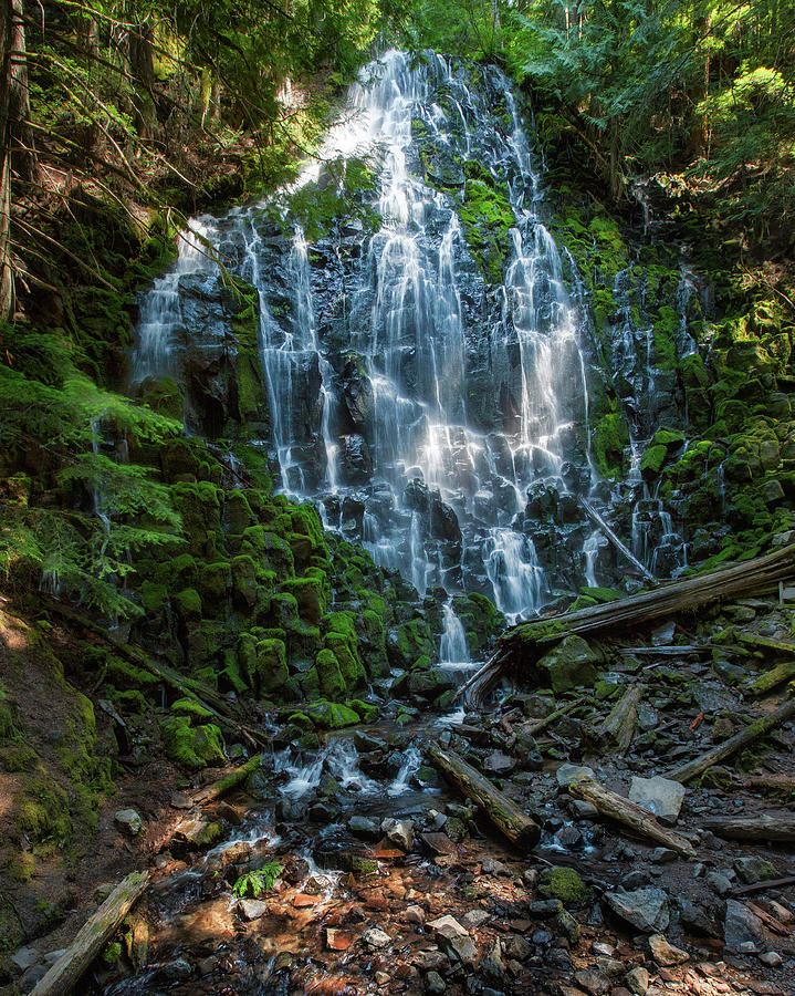 Ramona Falls Photograph by Alex Mironyuk - Pixels