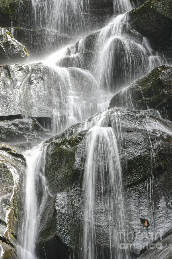 Ramsey Cascades 5 Photograph by Phil Perkins