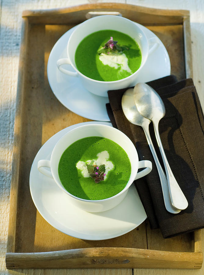 Ramson Nettle Soup Photograph by Andreas Thumm
