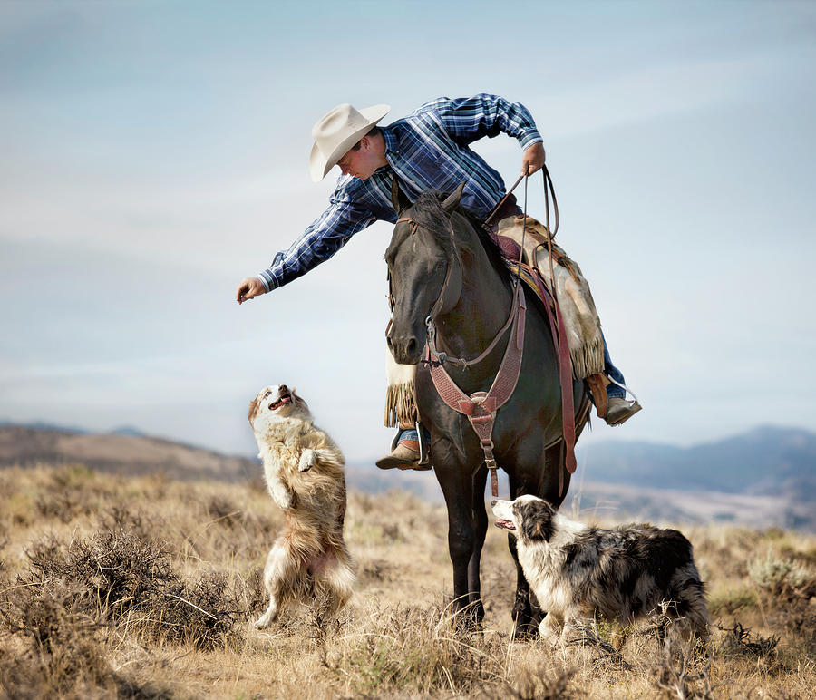 Ranch Dogs Photograph by Kimber WallworkHeineman Fine Art America