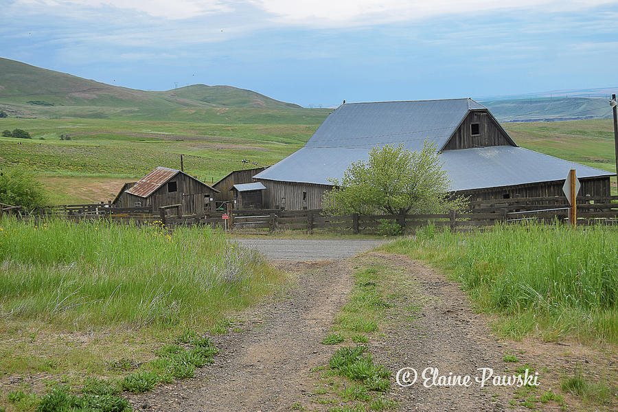Ranch Photograph by Elaine Pawski