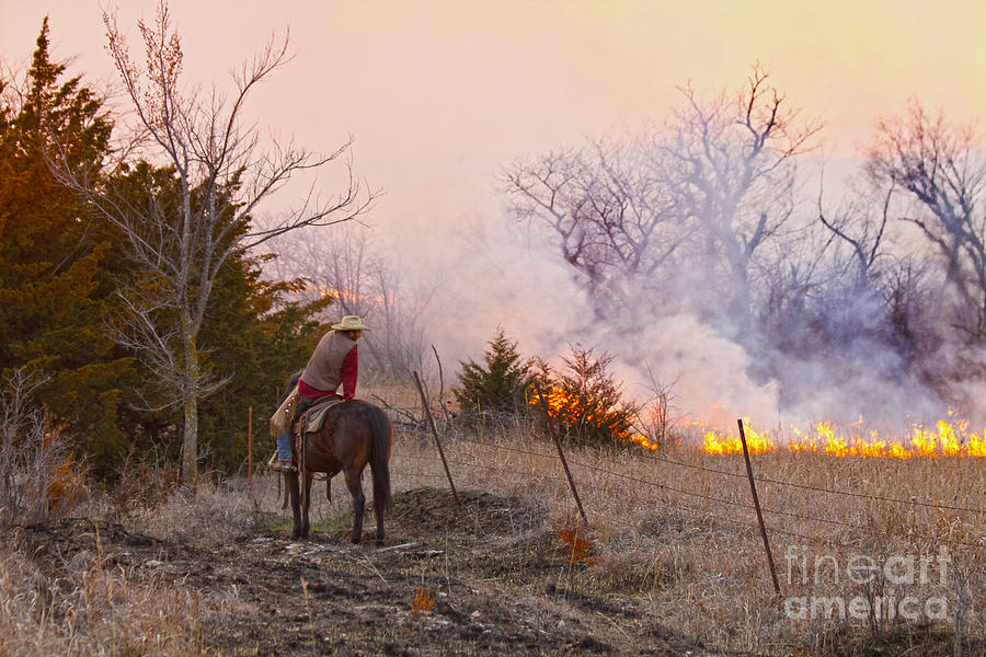 Rancher Watching a Prairie Fire Photograph by Catherine Sherman