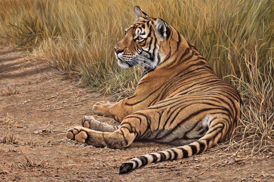 Ranthamboure Road Block Tiger Painting