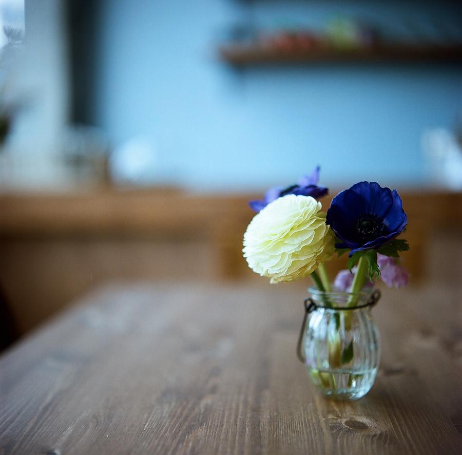 Ranunculus And Anemones Photograph by Junghyun Photo