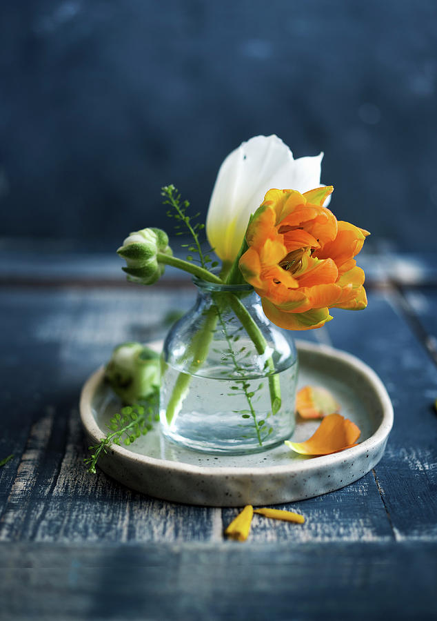 Ranunculus And Tulips In Vase Photograph by Ira Leoni