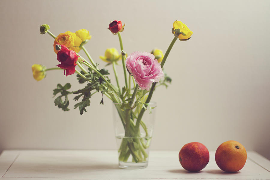 Ranunculus Flowers And Red Oranges On Photograph by Copyright Anna Nemoy(xaomena)