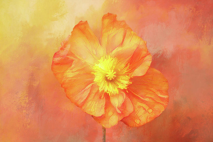 Poppy Richness Digital Art by Terry Davis