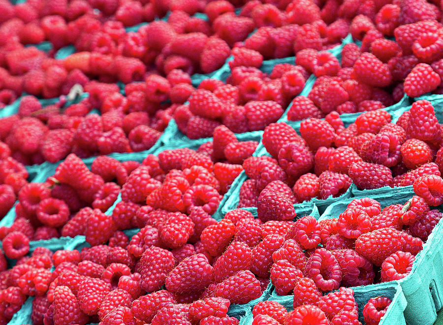 Rasberries In Blue Photograph