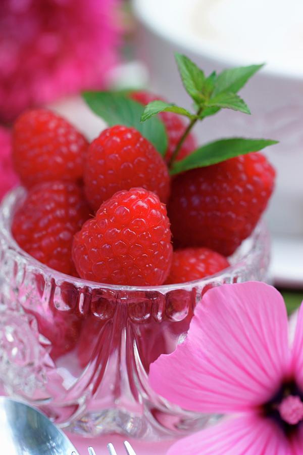 Raspberries And A Sprig Of Mint In A Crystal Glass Photograph by Angelica Linnhoff