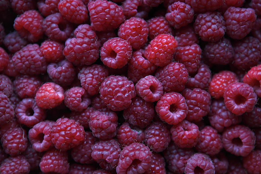 Raspberries Photograph by Bertrand Demee