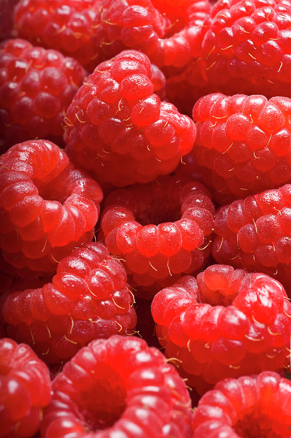 Raspberries Close-up Photograph by Joecicak