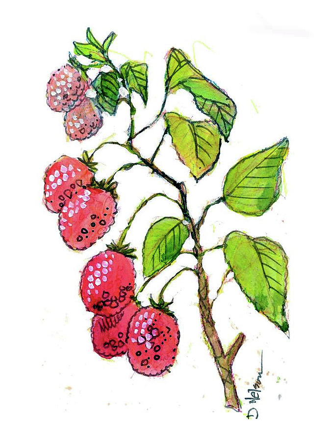 Raspberries Painting by Dan Nelson