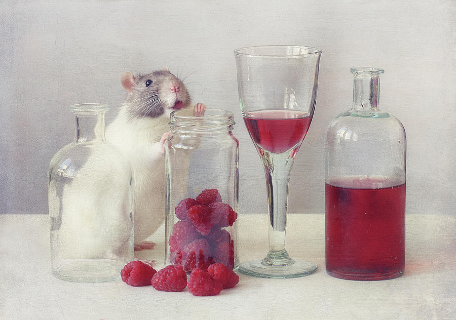 Raspberry Photograph - Raspberries by Ellen Van Deelen
