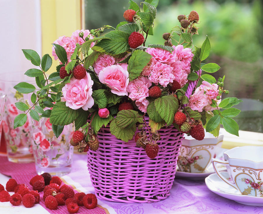 Raspberries, Roses bonica And the Fairy In Pink Basket Photograph by Friedrich Strauss
