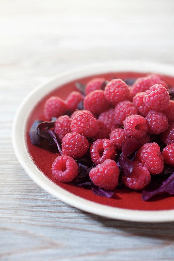 Raspberries With Salad Leaves Photograph by Stepien, Malgorzata