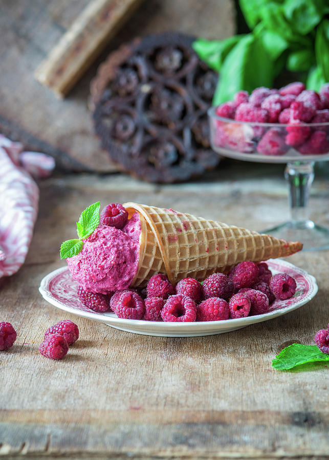Raspberry Frozen Yoghurt Photograph by Irina Meliukh