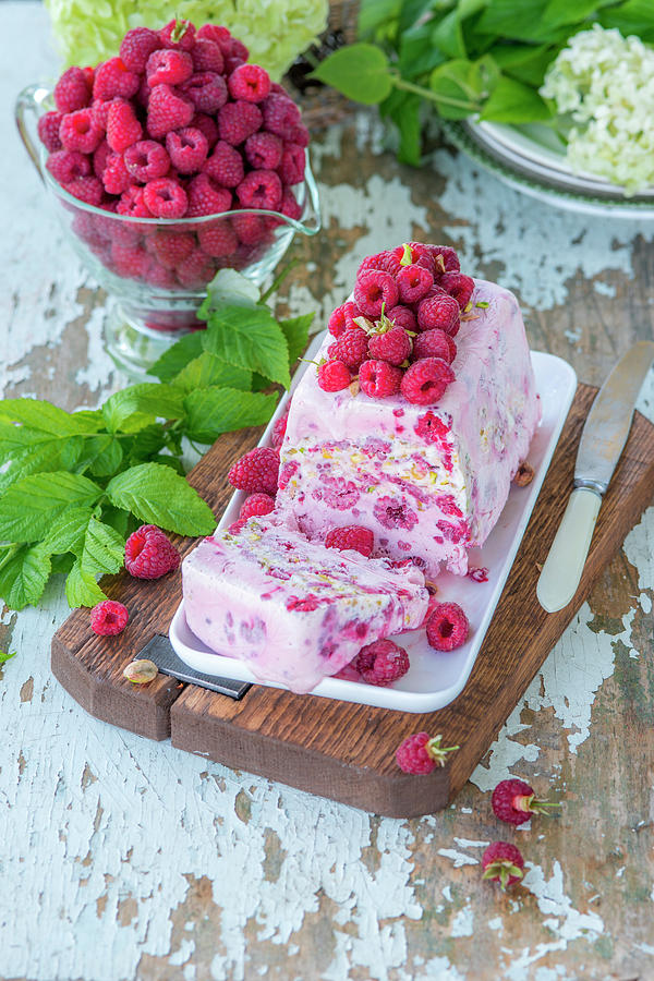 Raspberry Ice Cream Cake Photograph by Irina Meliukh