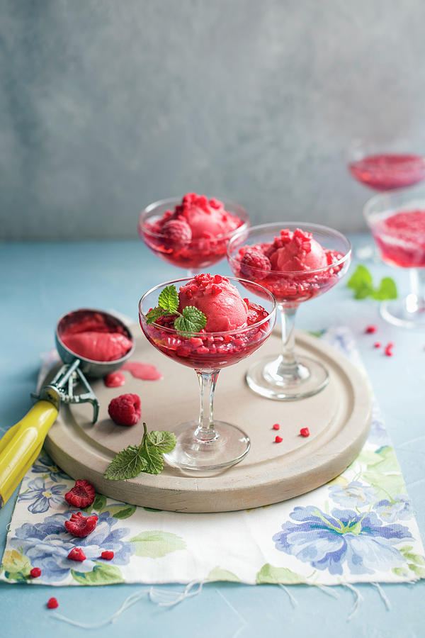Raspberry Jelly With Raspberry Sorbet And Fresh Mint Photograph by Magdalena Hendey