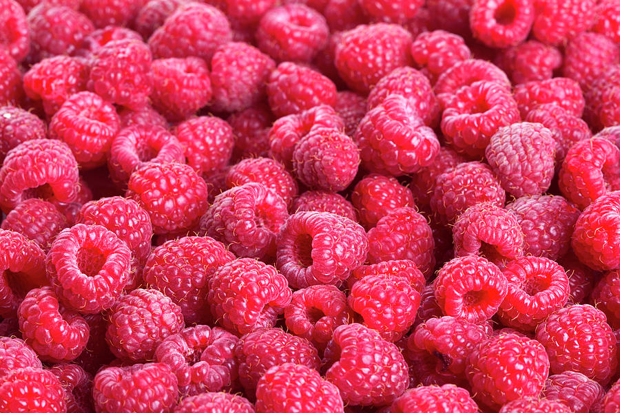 Raspberry Photograph by Julichka