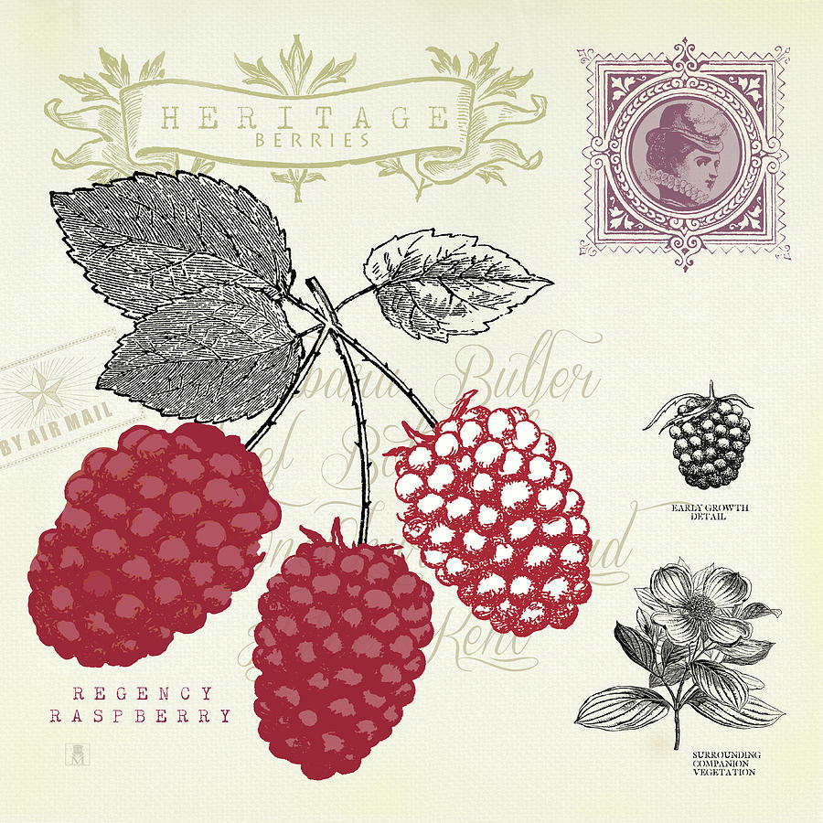 Raspberry Painting - Raspberry Notes by Studio Mousseau