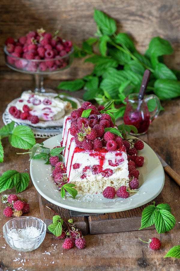 Raspberry Quark Mousse Cake from Freezer With Vanilla Sponge Photograph by Irina Meliukh
