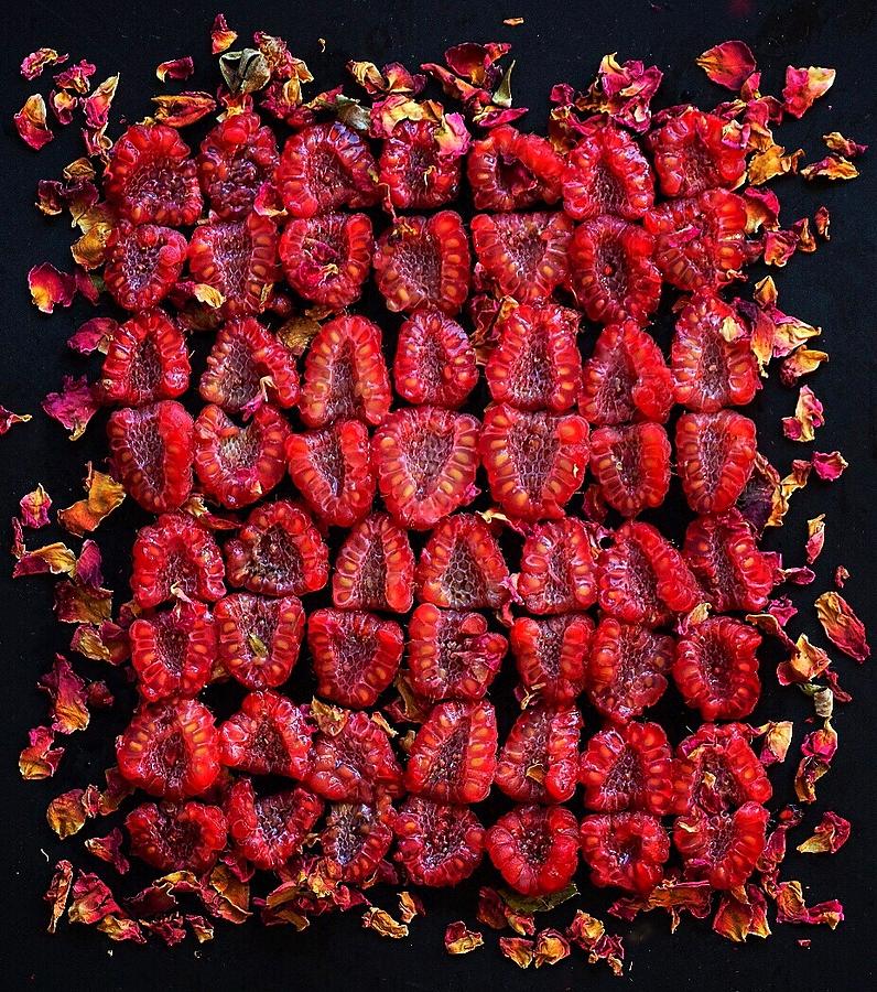 Raspberry Red Grid by Sarah Phillips Raspberry Red Grid by Sarah Phillips
