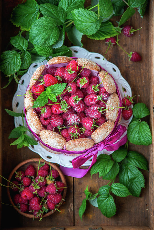 Raspberry Sharlot Cake From Above Photograph by Irina Meliukh