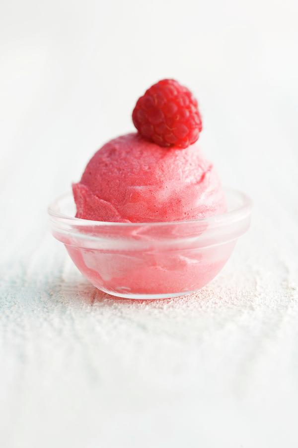 Raspberry Sorbet Photograph by Michael Wissing