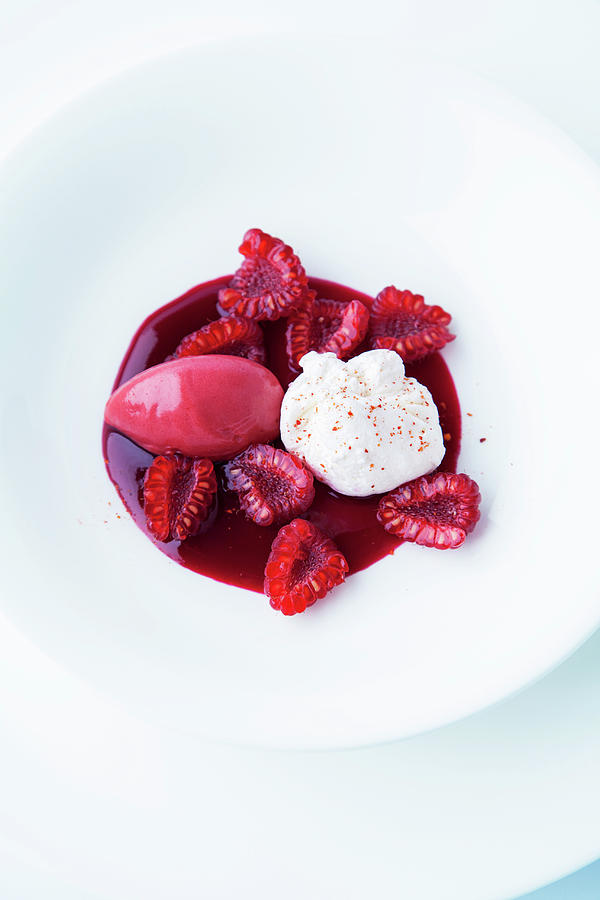 Raspberry Sorbet With Cream Cheese And Beetroot Coulis Photograph by Michael Wissing