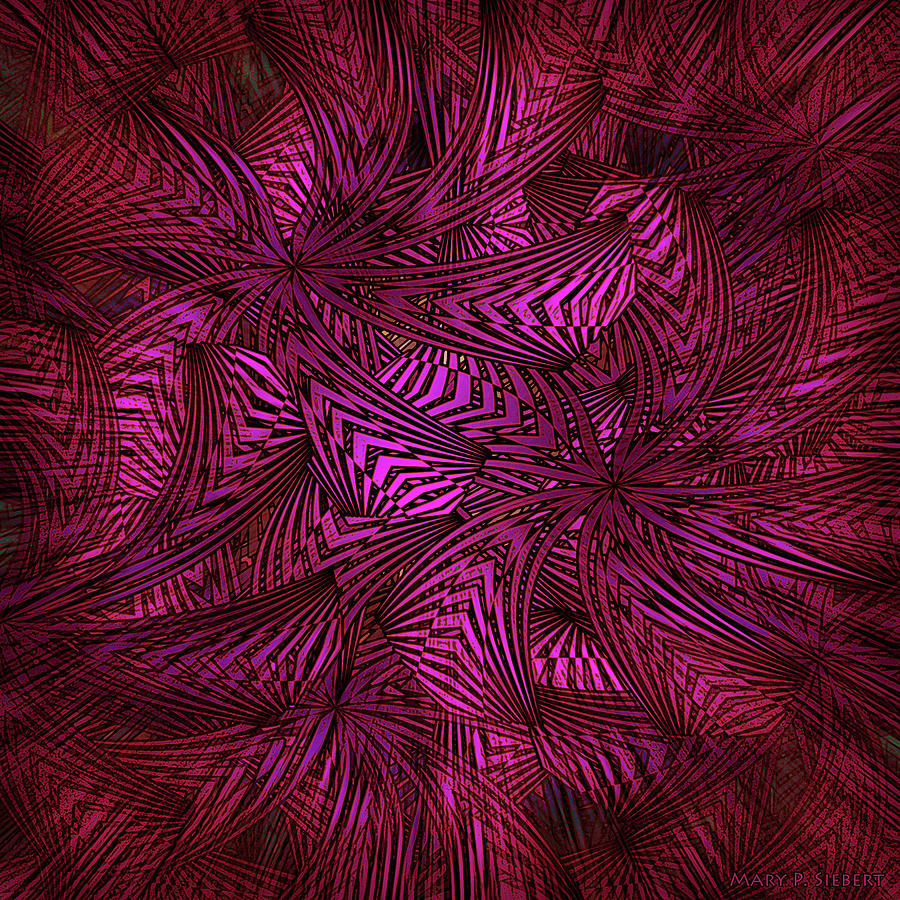 Raspberry Swirl Photograph by Mary P. Siebert