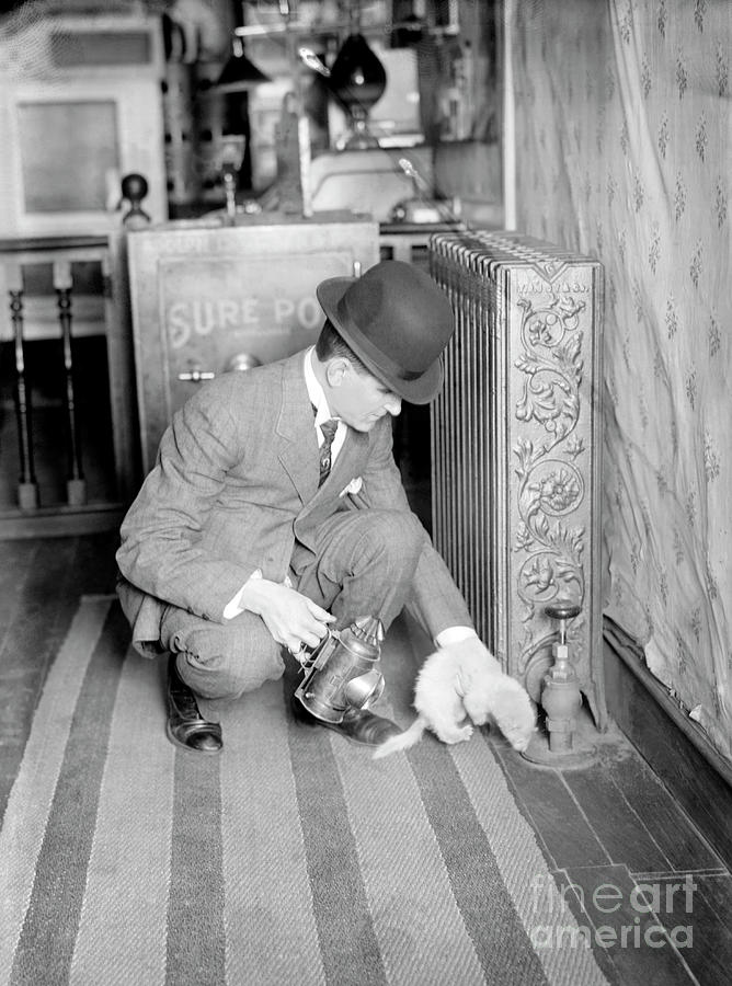 Rat Catcher With A Ferret Photograph by Library Of Congress/science