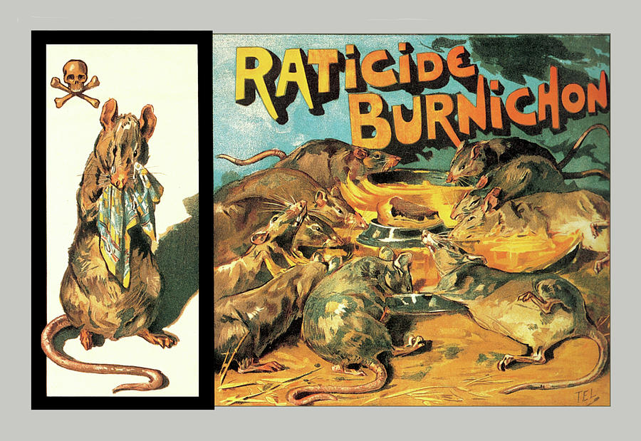 Raticide Burnichon Painting by Theophile Alexandre Steinlen