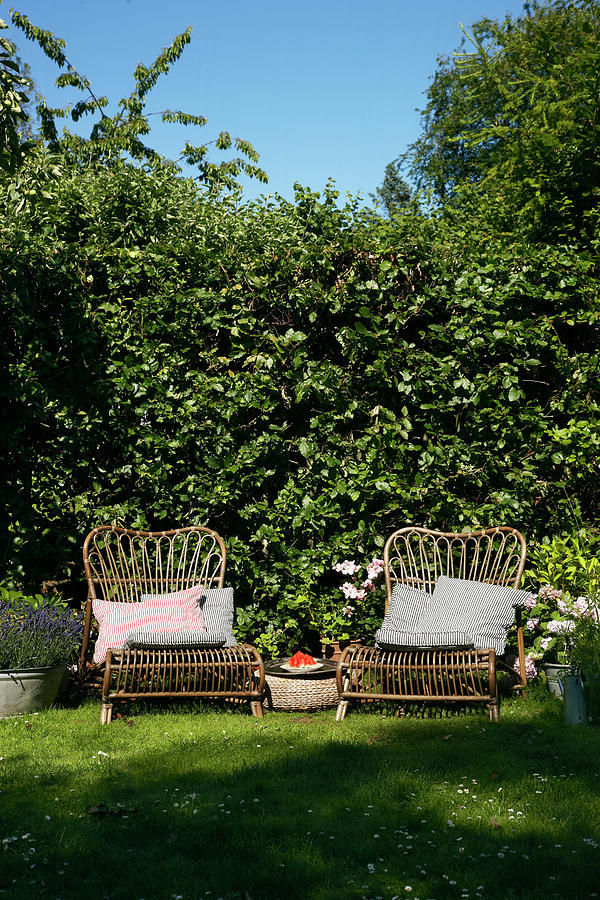 Rattan Easy Chairs With Cushions In Garden Photograph by Kennet House Of Pictures / Havgaard