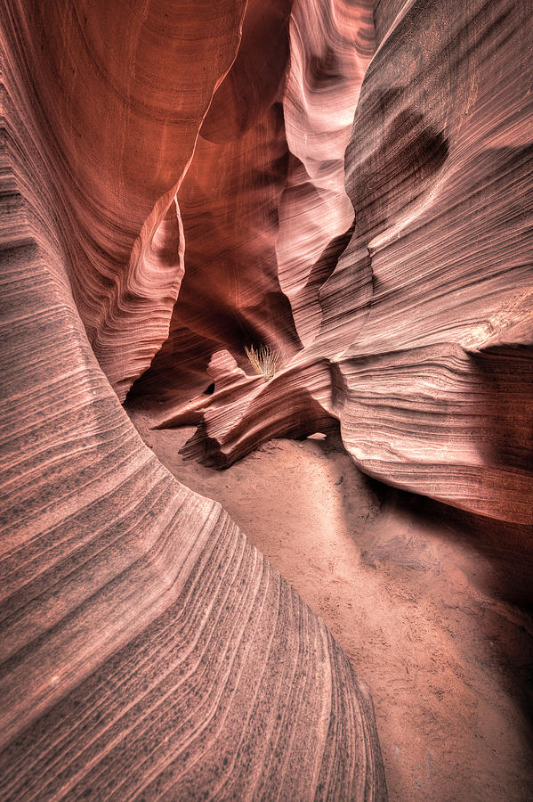 Rattlesnake Canyon Photograph by Laura Hedien