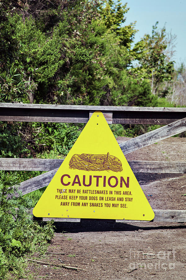 Rattlesnake Warning Sign Photograph by Science Photo Library Rattlesnake Warning Sign Photograph by Science Photo Library