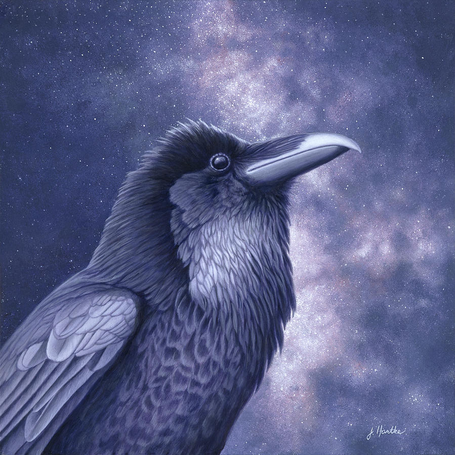 Bird Painting - Raven Air by Judith Hartke