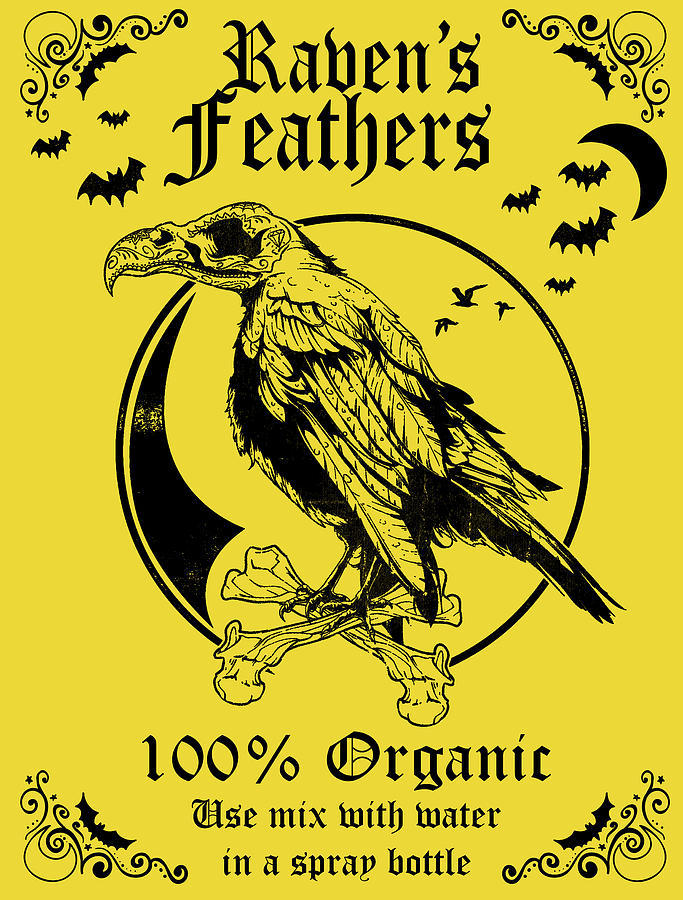 Raven Feathers Digital Art by Long Shot