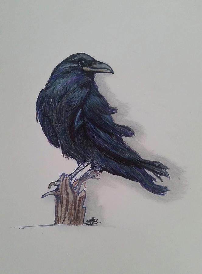 Raven in the Wind Drawing by Julie Belmont
