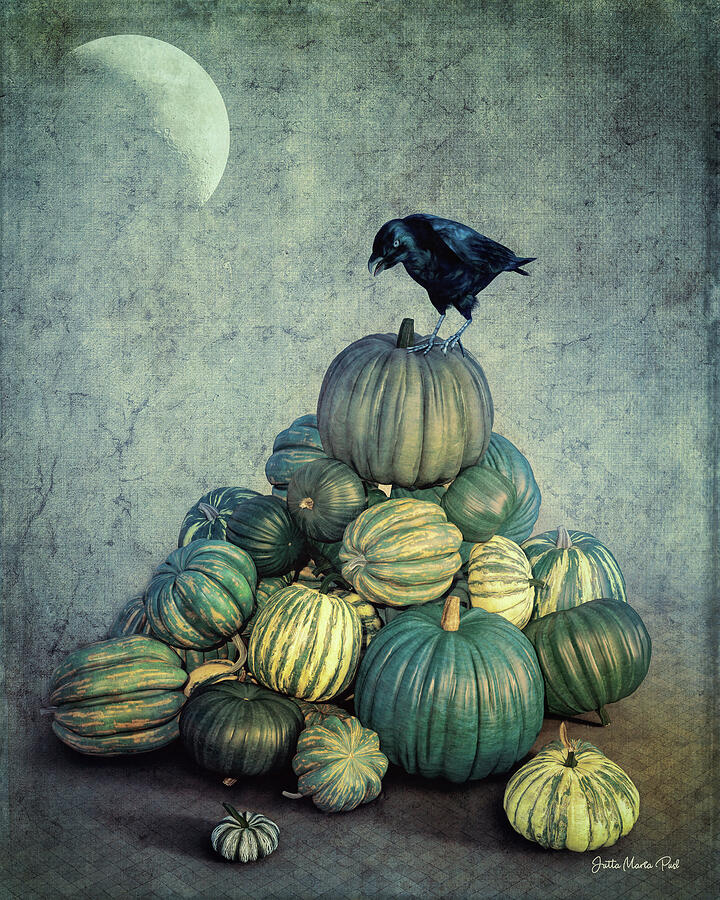Ravens Hoard Digital Art by Jutta Maria Pusl