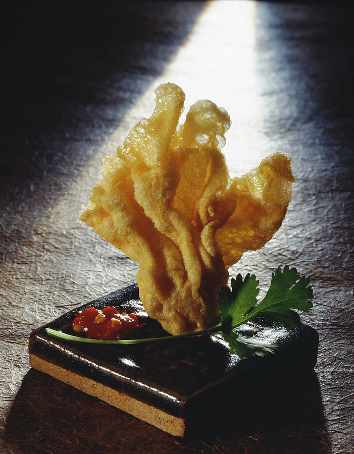 Asiatique Photograph - Raviolis Frits Thai Fried Ravioli by Hussenot - Photocuisine