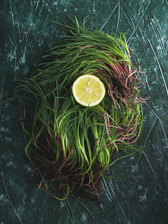 Raw Agretti barba Di Frate, Salsola Soda Over Green Background To Be Cooked With Lemon Juice Photograph by Sofya Bolotina