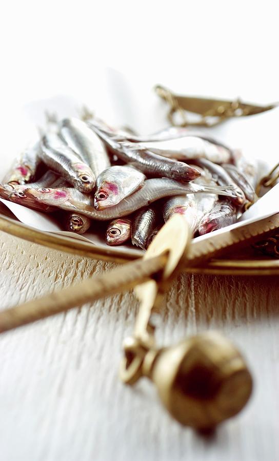 Raw Anchovies On A Pair Of Scales Photograph by Franco Pizzochero