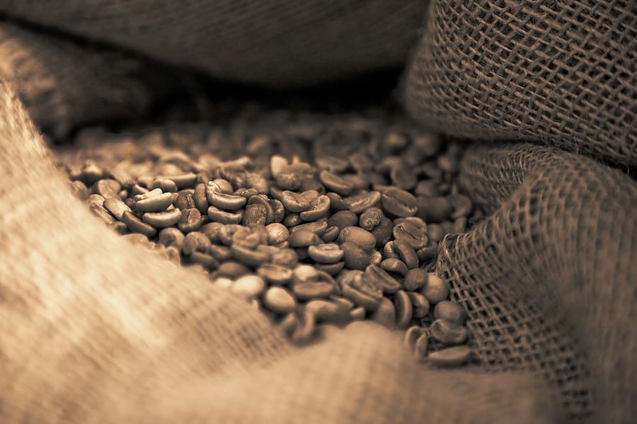 Raw Coffee Beans Photograph by Steve Swayne