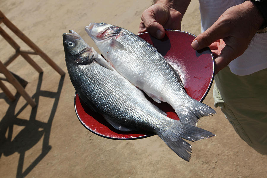 Raw Fish On Plate In Gumusluk In Bodrum Peninsula At Aegean, Turkey Photograph by Jalag / Dorothea Schmid