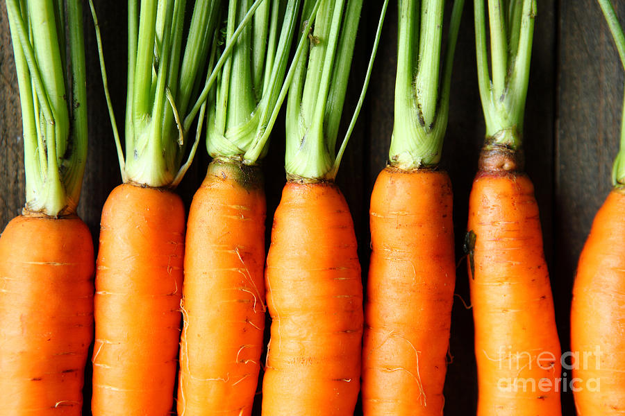 Snack Photograph - Raw Fresh Carrots With Tails, Top View by Olha Afanasieva Snack Photograph - Raw Fresh Carrots With Tails, Top View by Olha Afanasieva
