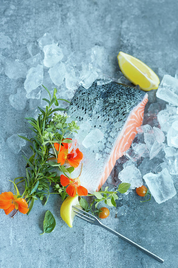 Raw Salmon With Fresh Herbs On Ice Photograph by Katrin Winner