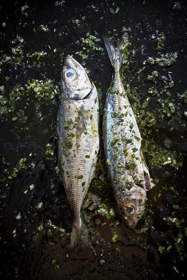 Raw Sardines In A Parsley And Garlic Marinade Photograph by Malgorzata Stepien